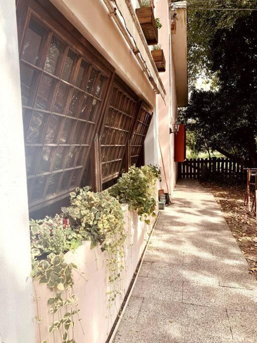 Apartmán Raffinatezza Rustica Nella Campagna Veneziana Canton  Exteriér fotografie