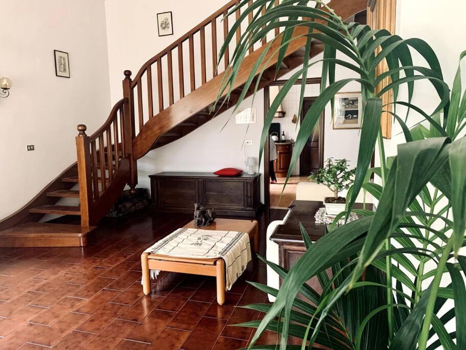 Apartmán Raffinatezza Rustica Nella Campagna Veneziana Canton  Exteriér fotografie